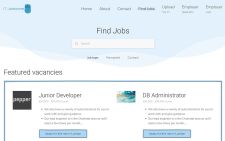 IT Jobs Zone