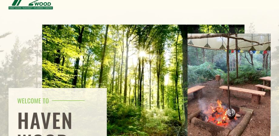 Haven Wood Woodland Centre